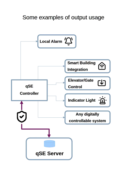 qSmartEntry output usage samples
